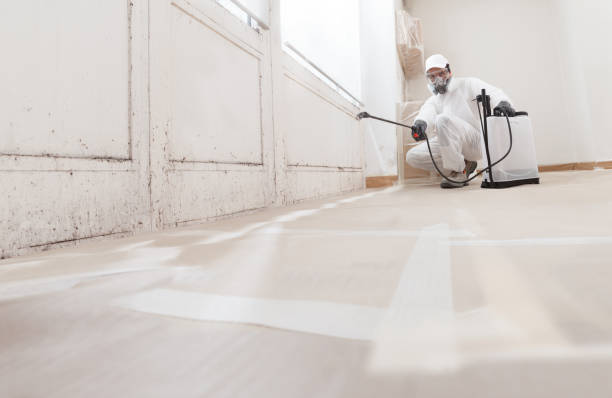 24/7 Emergency Crawl Space Mold Removal experts in Voorhees, NJ